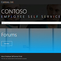 Customising Microsoft Portals – What Skills Do I Need?