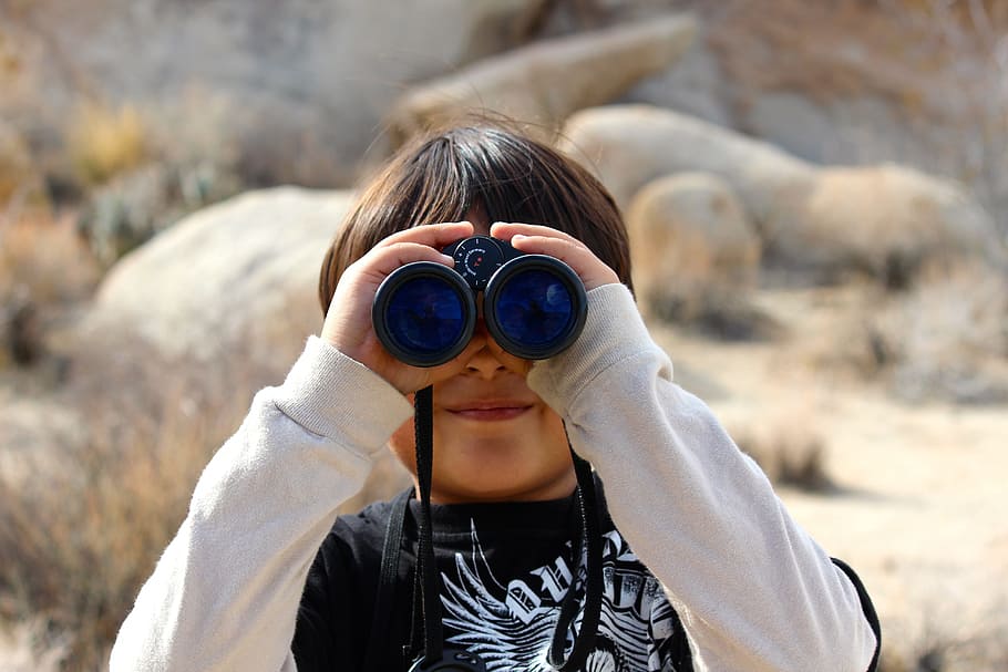 Saving Filters As Segments In Microsoft Clarity