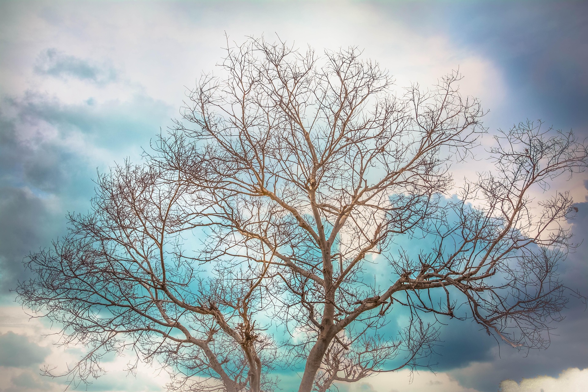 Use Custom Event Registration Questions To Branch Your Journeys In Customer Insights